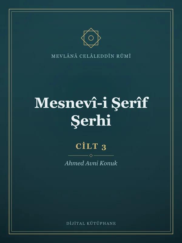 Mesnevî-i Şerîf Şerhi - Cilt 3