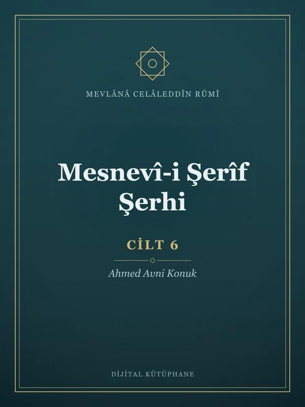 Mesnevî-i Şerîf Şerhi - Cilt 6