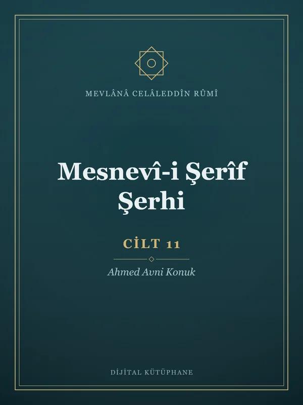 Mesnevî-i Şerîf Şerhi - Cilt 11