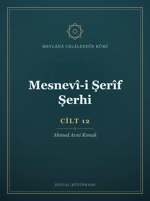 Mesnevî-i Şerîf Şerhi - Cilt 12