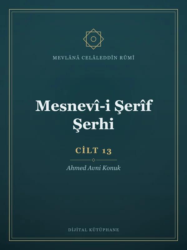 Mesnevî-i Şerîf Şerhi - Cilt 13